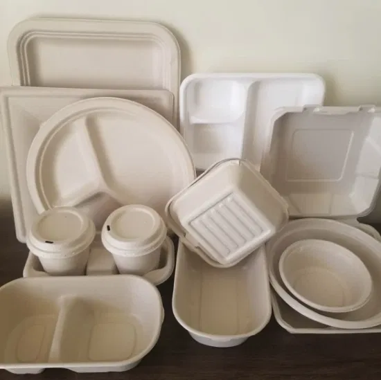 Bagasse-Geschirr, biologisch abbaubarer Lebensmittelbehälter, Zuckerrohr-Lunchbox, Salatschüssel, Sushi-Tablett, Teller, Lebensmittelverpackung zum Mitnehmen